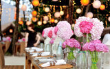 Hoffest - wedding Pexels auf Pixabay 