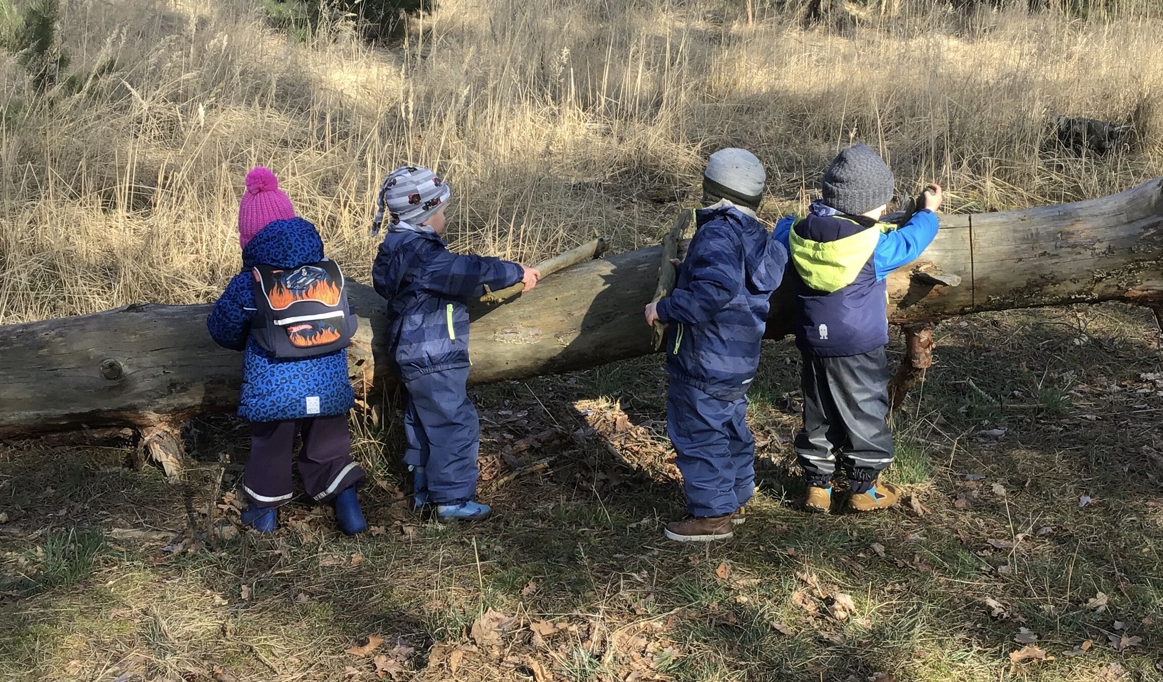 4 Kinder spielen am umgefallenen Baum. 