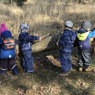 4 Kinder spielen am umgefallenen Baum. 