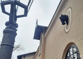 Marstall Schloss Golßen, Foto: Karen Ascher, Lizenz: Karen Ascher