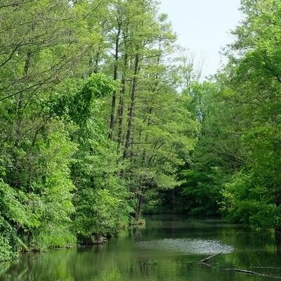 Hafen Groß Wasserburg