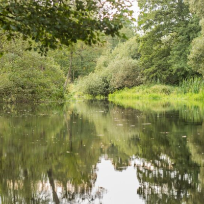 Unterspreewald 20