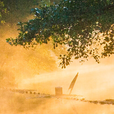 Nebel über dem Gewässer im Spreewald