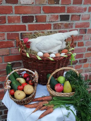 IMG_20220822_194404