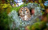Foto: AdobeStock_Alexander Limbach, Lizenz: AdobeStock_Alexander Limbach