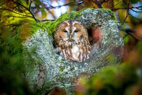 Foto: AdobeStock_Alexander Limbach, Lizenz: AdobeStock_Alexander Limbach - AdobeStock_Alexander Limbach Foto: AdobeStock_Alexander Limbach, Lizenz: AdobeStock_Alexander Limbach
