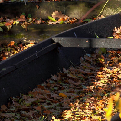 -2 Herbst verkleinert