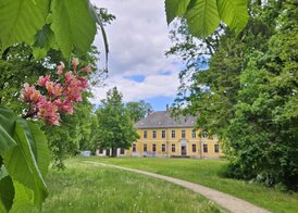 Foto: Dörthe Ziemer, Lizenz: Dörthe Ziemer - Dörthe Ziemer Foto: Dörthe Ziemer, Lizenz: Dörthe Ziemer