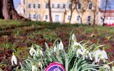 Foto: Dr. Corinna Junker, Lizenz: Stadt L&uuml;bben (Spreewald)