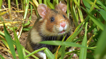 Foto: &copy; Jens Hamann/WDR