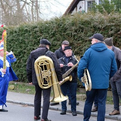 Rosenmontagsumzug ( (6)