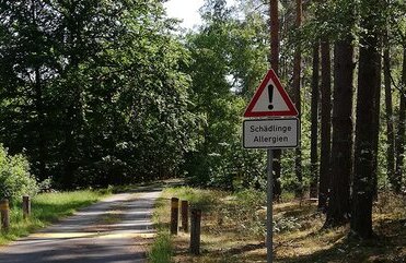 eichenprozessionsspinner Hinweisschild_web
