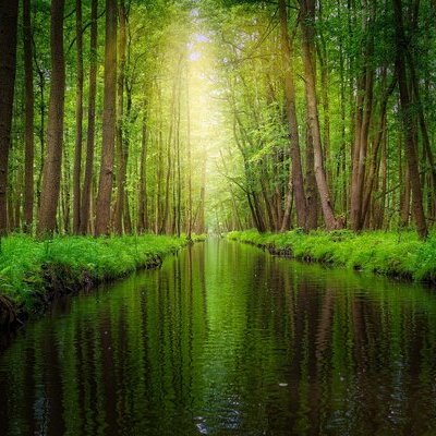 Spreewald