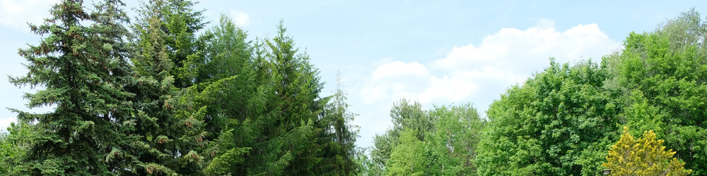 Groß Wasserburg Wehr