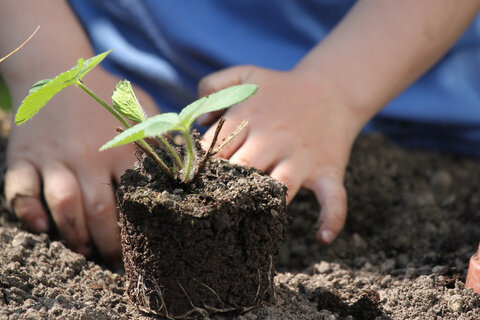 Bild_Kind_Garten
